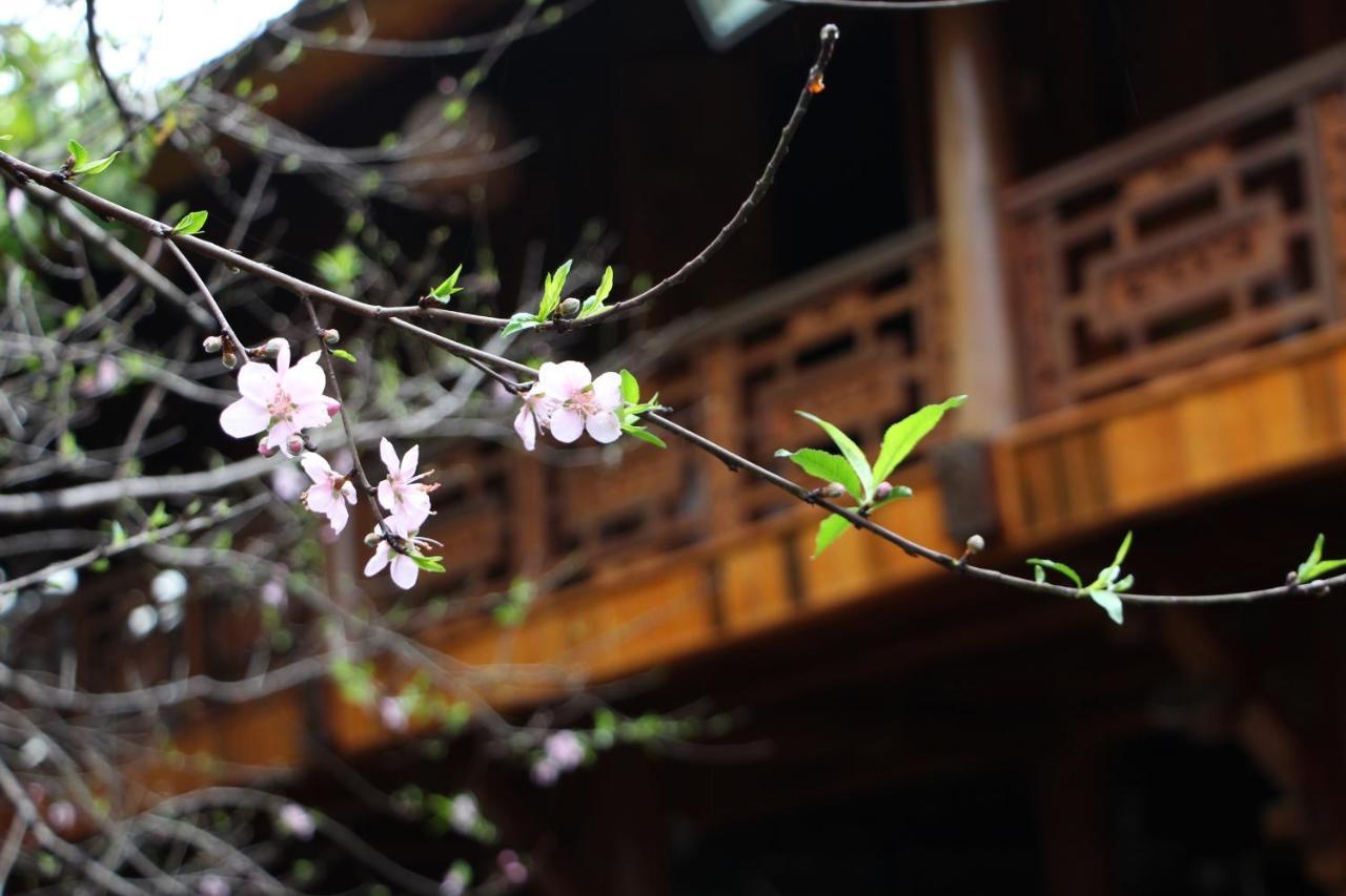 Maison Teahouse Homestay Ha Giang Exterior photo