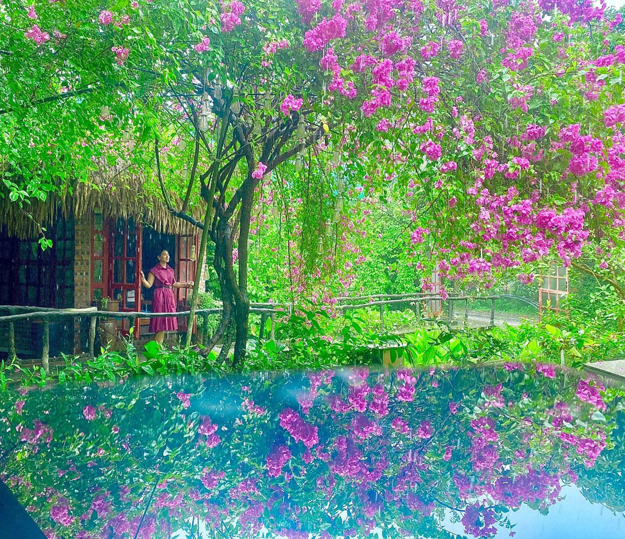 Maison Teahouse Homestay Ha Giang Exterior photo